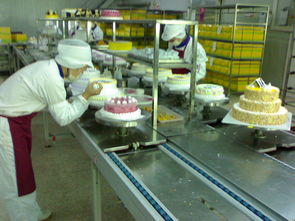 食品生产线 蛋糕生产线 恒鑫 智能制造,打造食品制造业的甜蜜事业线 广东恒鑫智能装备股份
